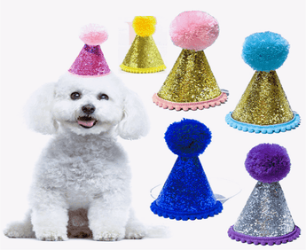 Adorable dog wearing a glitter party hat surrounded by colorful hats, perfect for Dog Birthday Cake and Dog Parties!