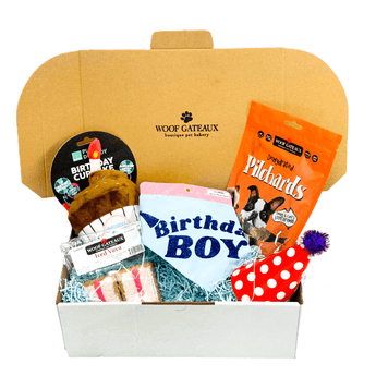 Pawty Pack dog birthday party box with Dog Birthday Cake and Healthy Dog Treats for a fun Dog Party.