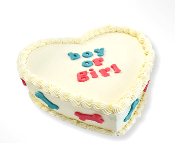 Delicious gender reveal dog cake shaped as a heart with colorful lettering and bone decorations for a fun dog party.