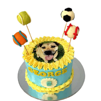 Dog birthday cake with ball theme featuring a personalized photo of George and playful decorations.