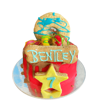 Colorful 5" Dohmut Cake with donut and sprinkles for a dog's birthday celebration, perfect dog birthday cake.