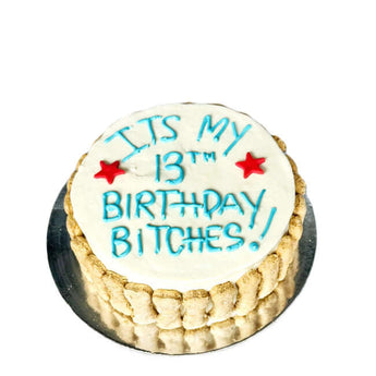 5 inch dog birthday cake with blue icing writing "IT'S MY 13TH BIRTHDAY BITCHES!" and red stars, perfect for pet parties.