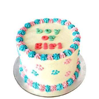 5" Tall Gender Reveal w/Paws - Dog Cake with colorful icing saying boy or girl, perfect for your dog party.