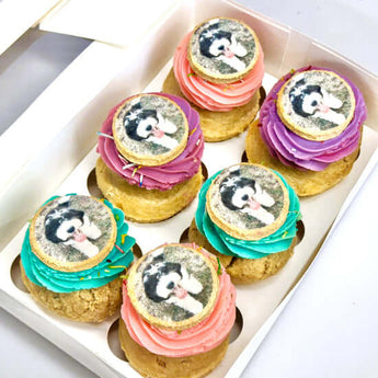 Colorful dog birthday cake toppers on delicious pupcakes for a joyful dog birthday cake celebration.