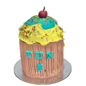 Pupcake Dog Cake with Ice Cream Scoop, topped with sprinkles and an apple, perfect for dog parties and birthdays, dog cake for birthday.