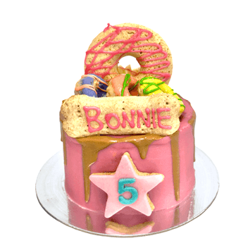 Colorful 5" Dohmut Cake for dog birthday celebration, topped with treats and a personalized name.