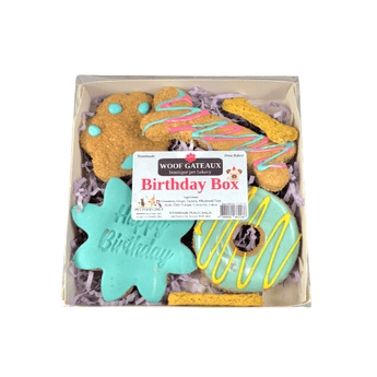 Colorful cookies in a Birthday Box for dogs, perfect for a special celebration: dog birthday treat box.