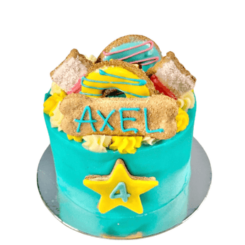 Dohmut iced vovo dog birthday cake with colorful frosting, cookies, and personalized decorations for dogs.