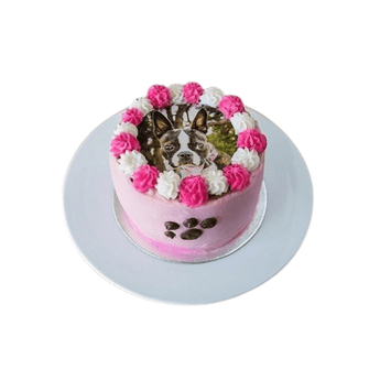 Personalized Pawberry Tall Cake decorated with pink frosting and an edible photo of a dog for dog birthday parties.