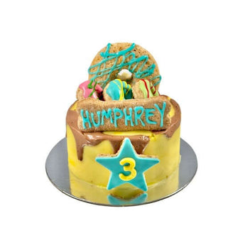 5 inch Dohmut Cake for dog birthday cake with colorful toppings and festive decorations.