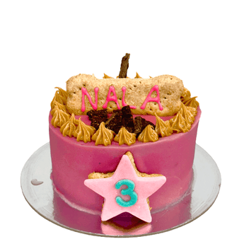 5" Pooches Cake with pink icing and personalized decorations for Nala's dog party, featuring peanut butter rosettes.