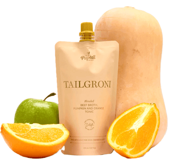 Dog Mocktails Tailgroni with beef broth, pumpkin and orange tonic, surrounded by fresh fruits for healthy hydration.